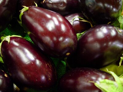Raw fresh brinjal