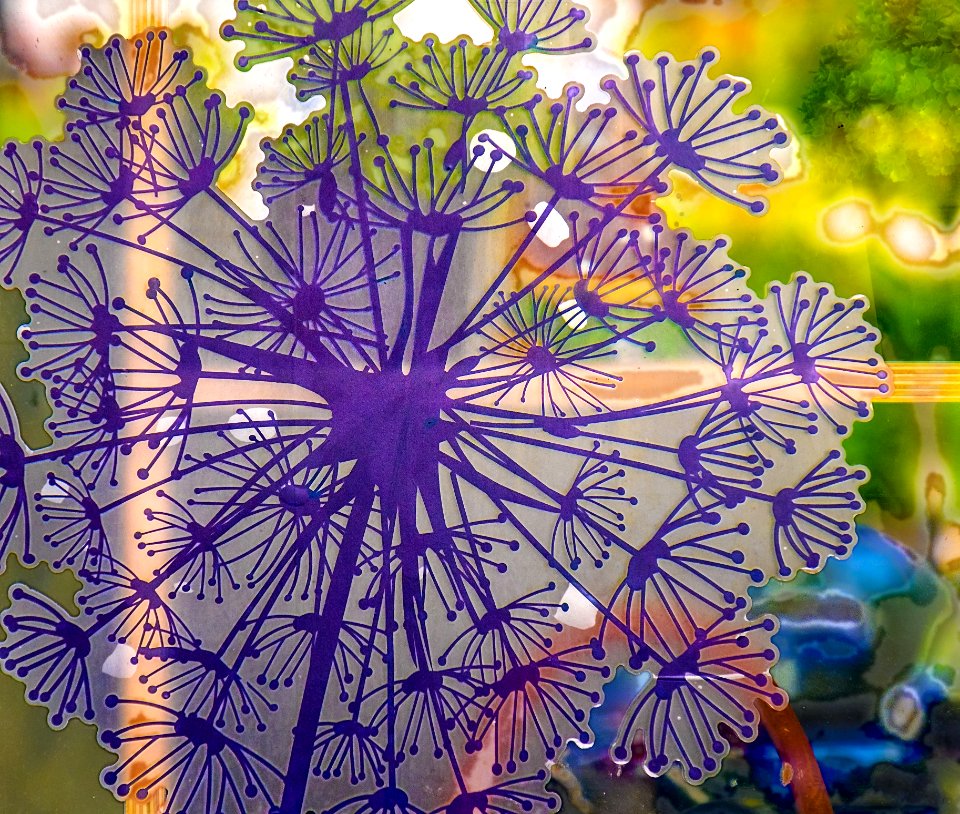 DSCF0967