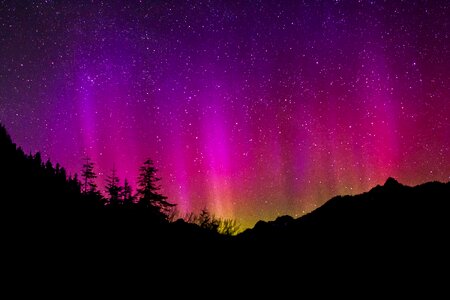 Night landscape nature