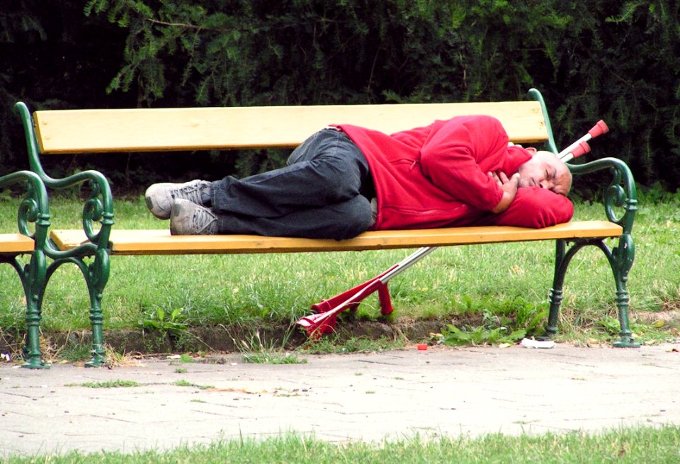 Asleep on the Bench