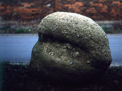 Exa + Tessar 2,8/50 - Boulder at the Road
