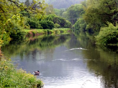Svitava River