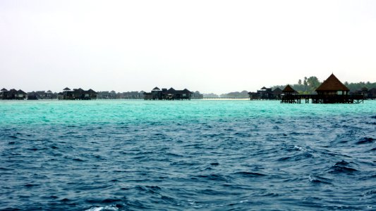 DSC01891
