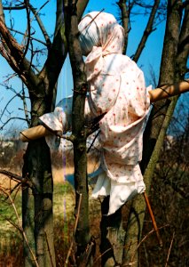 Ricoh TLS 401 with Helios 44-2 -Witch on the Tree