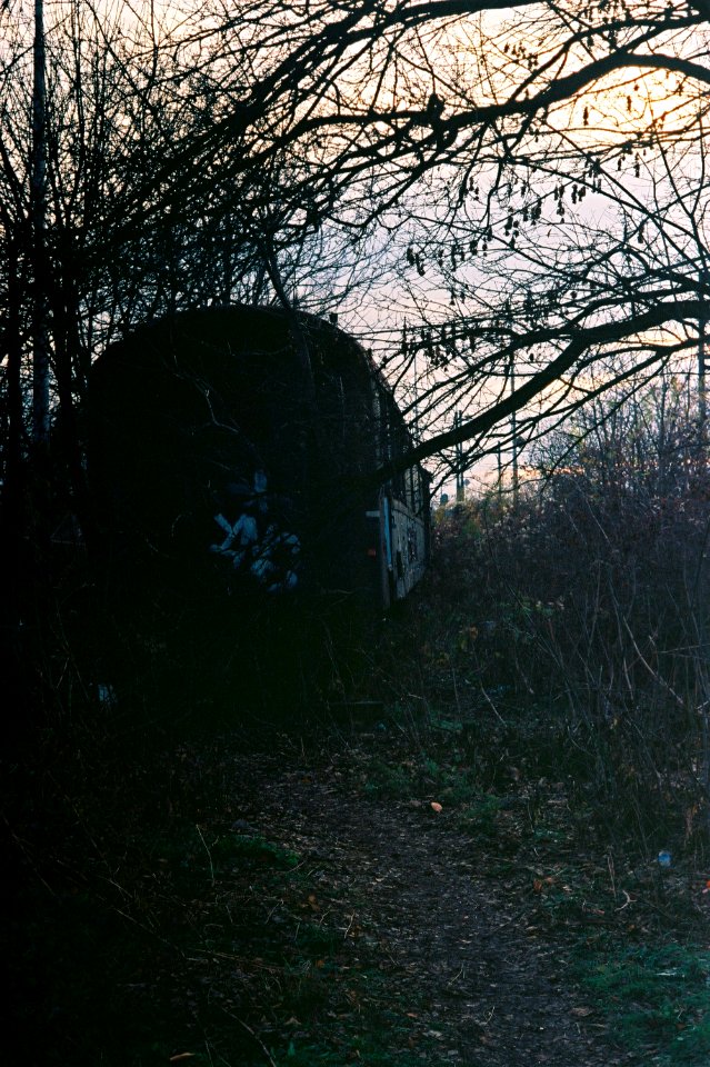 Kiev 4 + Helios 103 - Cast-off Carriage (Inhabited by some homless people and a dog) 1