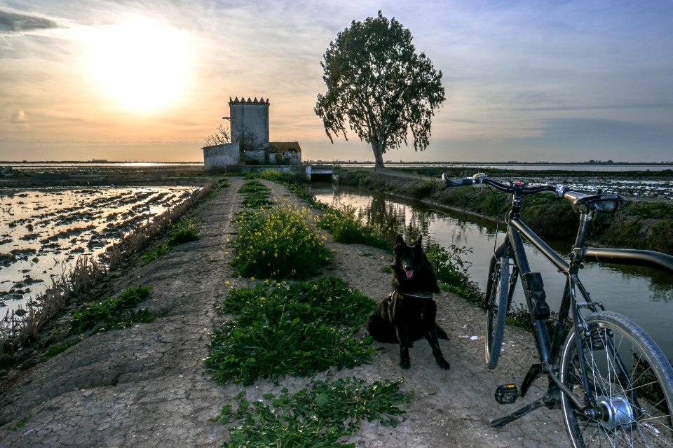 Mis paseos en bici photo