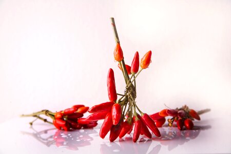 Red sharp food