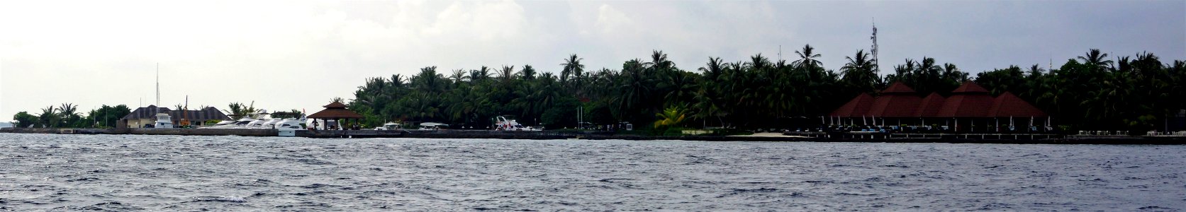 DSC01863