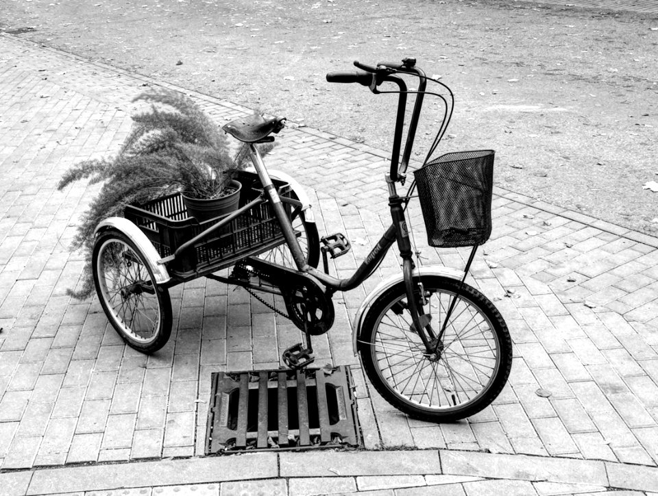 Tricycle with Flowers - Taken in Psychiatric Hospital Brno-Černovice B&W