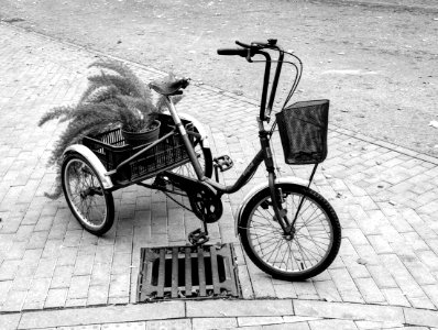 Tricycle with Flowers - Taken in Psychiatric Hospital Brno-Černovice B&W