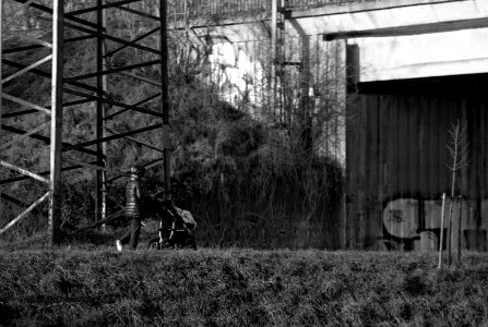 Praktica BMS + MC Pentacon Prakticar 2,8/135 - Mother with Carriage 2
