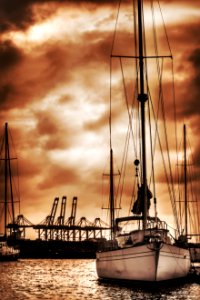 Yacht Race Durban Harbour -61-01