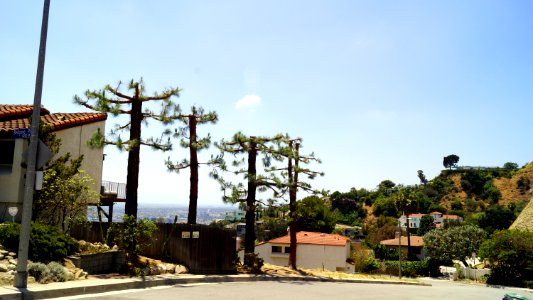 DSC05165