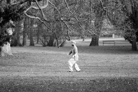 Praktica MTL 5 + Pentacon Electric 4/200 MC - Praktica MTL 5 + Pentacon Electric 4/200 MC - Man Practising T'ai chi in the Park 1 photo