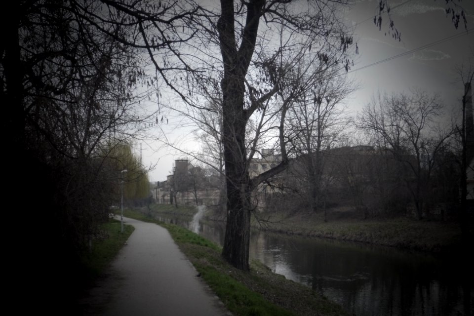 Melancholic Svitava River 03