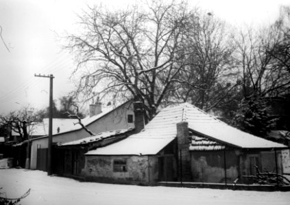 Agfa Billy Record 7.7 - Písečník Colony 1