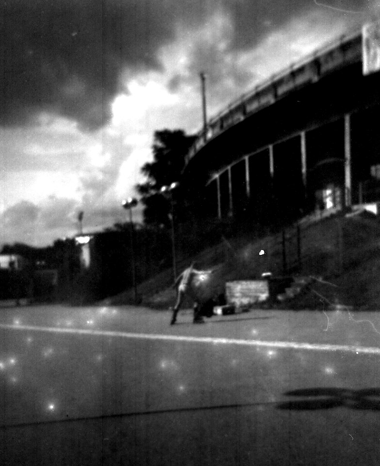 Holga 120FN - Beauties of Decay and Other Stories