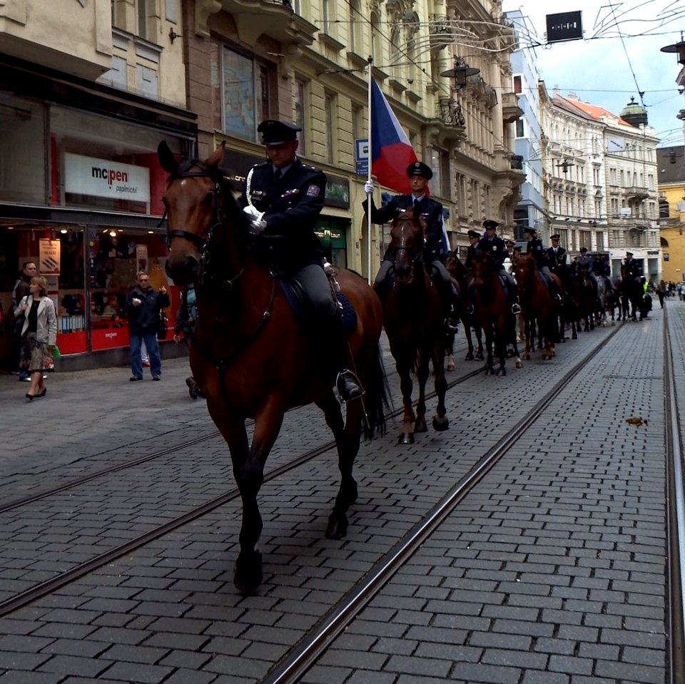 International Championship of Police Horse Riding - Opening Ceremony 04