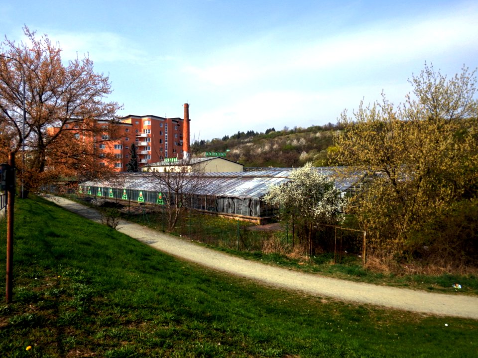 Large Greenhouse