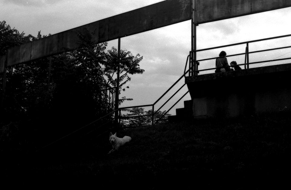 Exa + Tessar 2,8/50 - Beauties of Decay and Other Stories