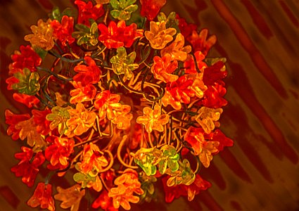DSCF0741