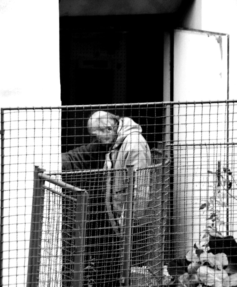 Old Man behind the Fences and between Light and Shadow