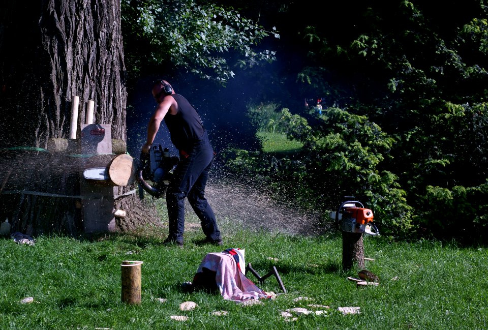 Sony Alpha A230 with Helios-44-2 - Man with Chainsaw 3