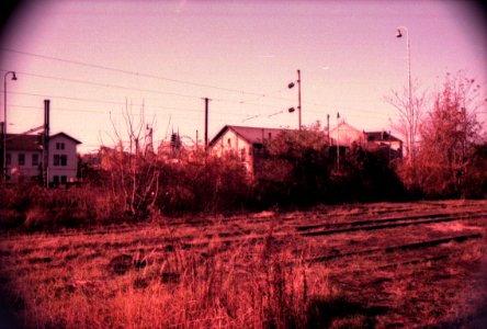 Praktica MTL 3 with Helios 44-2 - Another World 02 photo