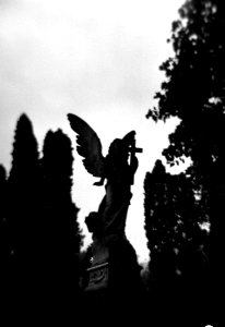 Holga 120FN - Gravestone Agel photo