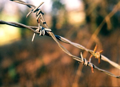 Praktica MTL 3 + Industar-61 L/Z - Barbed Wire Beauties