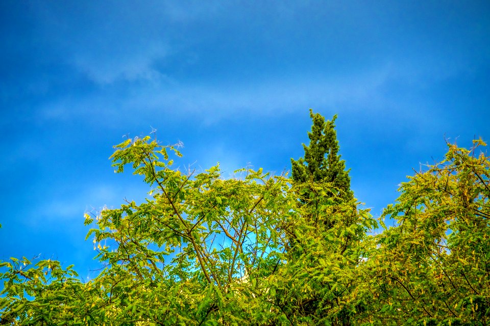 DSCF0837