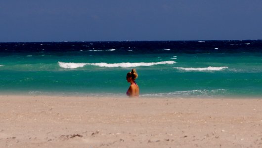 Florida1i (16)