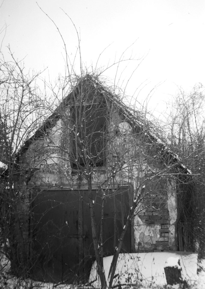 Agfa Billy Record 7.7 - Písečník Colony 2