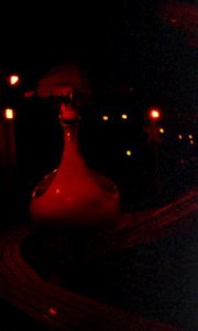 Praktica BC1 & Nightbird Film - Carousel Swan