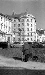 Zorki 4 + Industar-61 L/D - Old Woman Walking a Dog