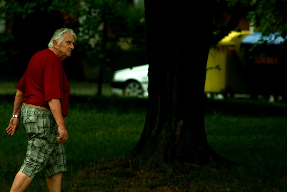 Sony Alpha A230 with Pentacon Electric 4/200 MC - Of Man and Tree