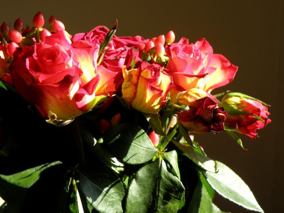 Flower decoration red