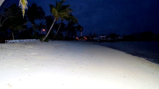 DSC02263