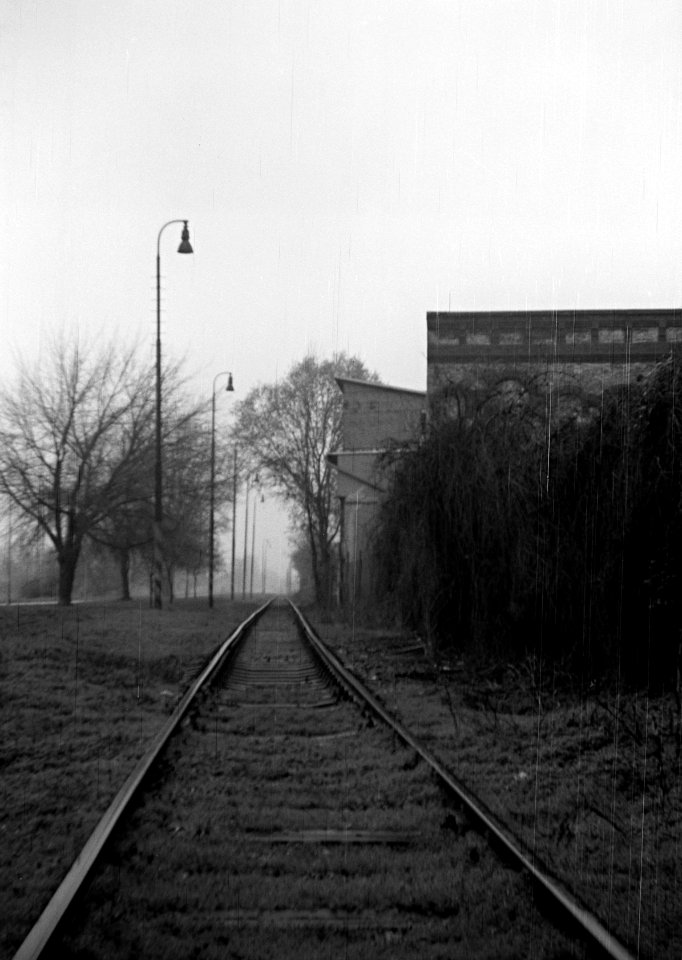 Zeiss Ikon Box Tengor - Former City Slaughterhouse at Svitava River in Foggy Day 2