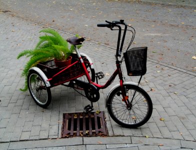 Tricycle with Flowers - Taken in Psychiatric Hospital Brno-Černovice