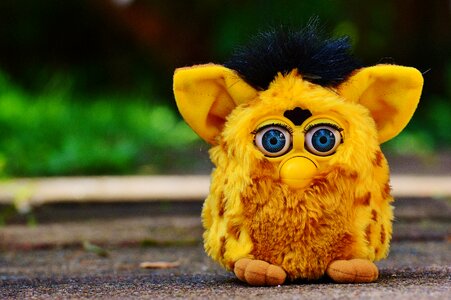 Soft toy toys children