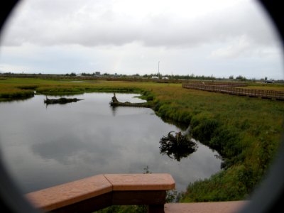 DSCN0447c Potter Marsh Boardwalk Anchorage AK 8-16-2018