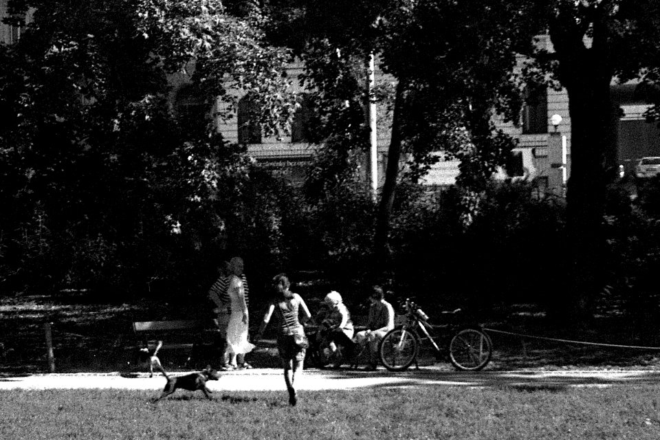 Canon Prima Zoom 80u (Sure Shot 80u) - Dog Crisis in the Park 2