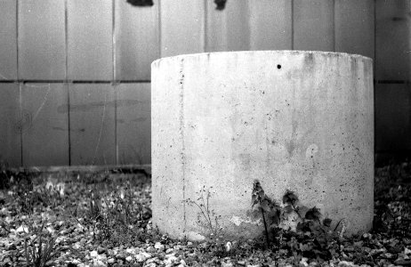 Exa + Tessar 2,8/50 - Beauties of Decay and Other Stories