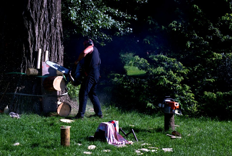 Sony Alpha A230 with Helios-44-2 - Man with Chainsaw 5