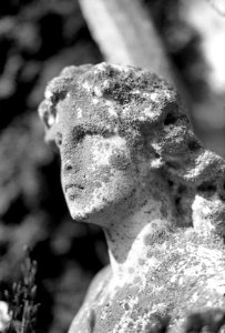 Praktica MTL 5 with Industar-61L/Z-MC - Gravestone Angel 2