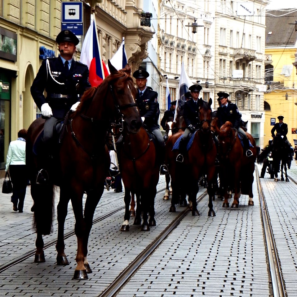 International Championship of Police Horse Riding - Opening Ceremony 01