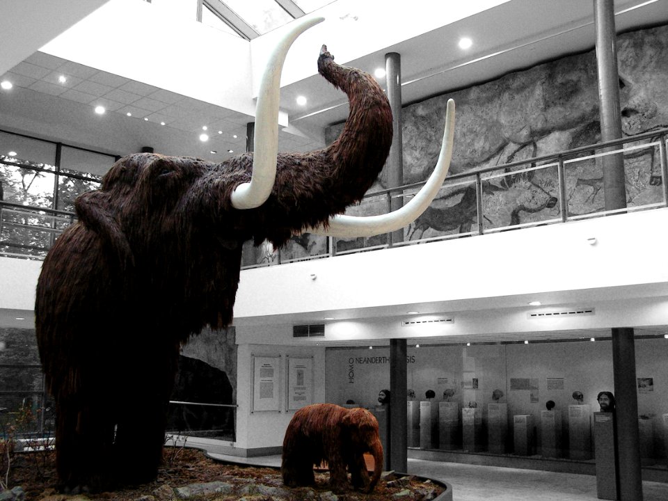 Mammoths (diorama)