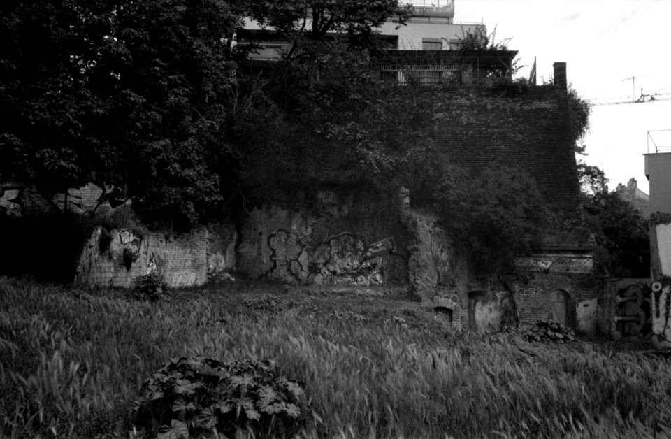Smena Symbol - Old Walls 1
