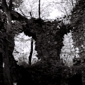 Flexaret 3a - Ruins of Blansek Castle 3